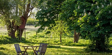 Kosiarki do trawy a okolice Sanoka: Jaka kosiarka najlepiej poradzi sobie na nieró