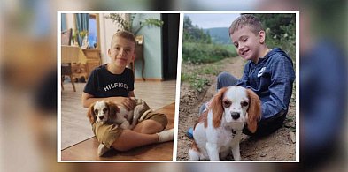 Baligród pomaga Maksowi! Rodzinny piknik charytatywny już w niedzielę-38634