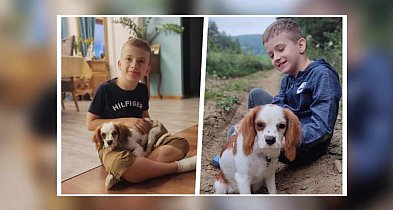 Baligród pomaga Maksowi! Rodzinny piknik charytatywny już w niedzielę-38634