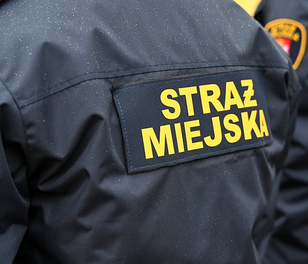 Zapuka strażnik, zapłacisz karę. Ruszyły kontrole w całej Polsce-38566