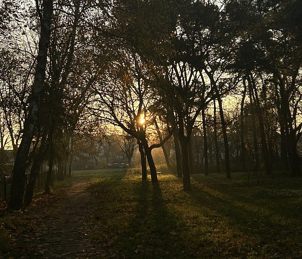Nadchodzi najkrótszy dzień w 2025 roku. Sprawdź, kiedy przypadnie-39025