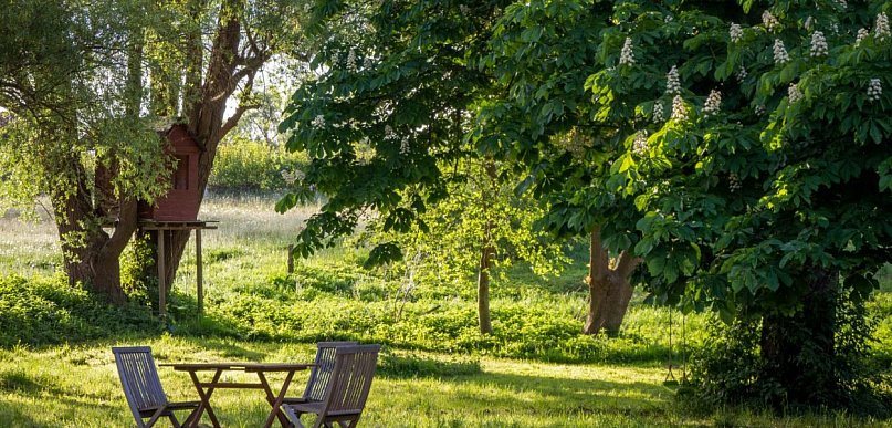 Kosiarki do trawy a okolice Sanoka: Jaka kosiarka najlepiej poradzi sobie na nieró